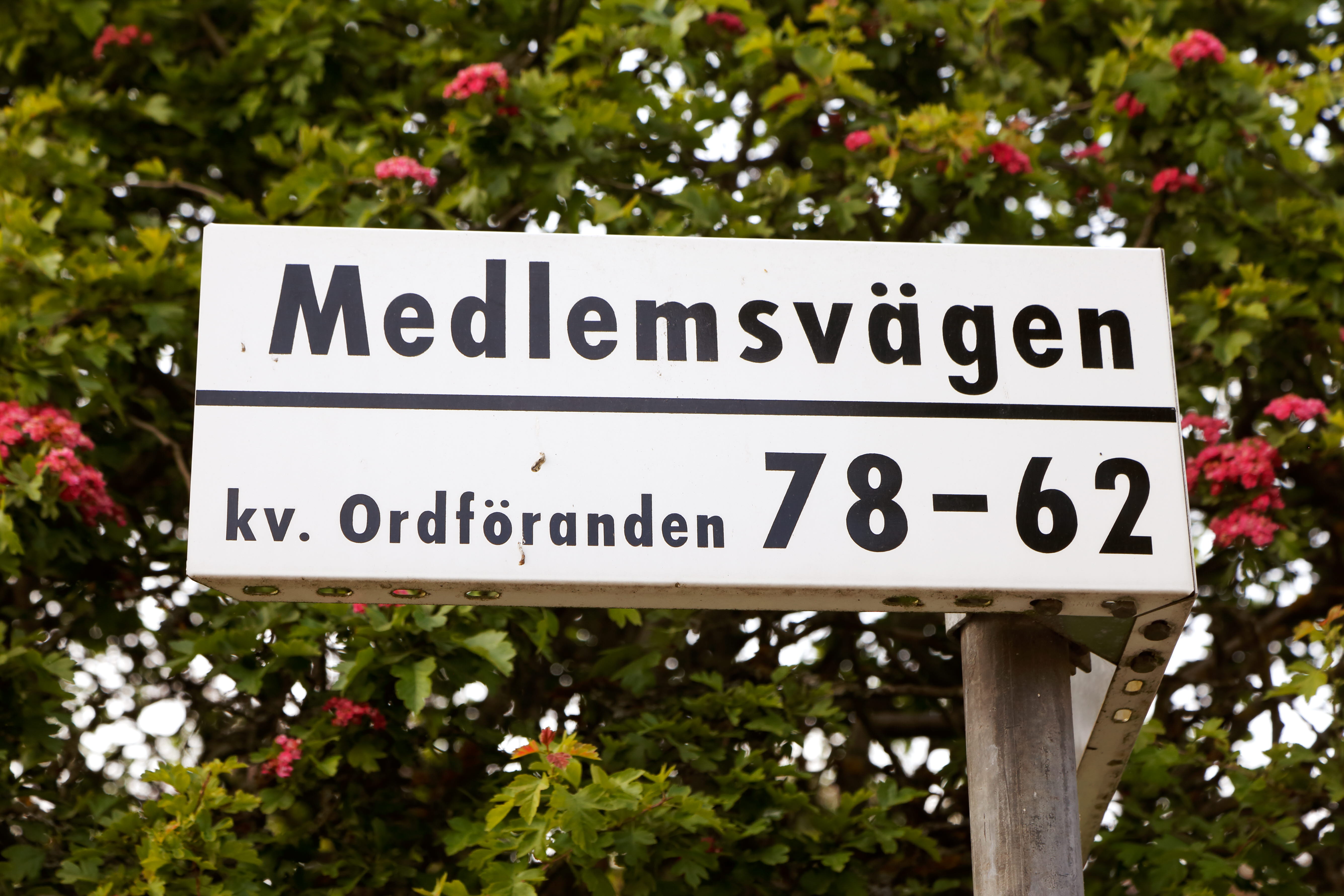 Vägvisare till Medlemsvägen i kvarteret Ordföranden