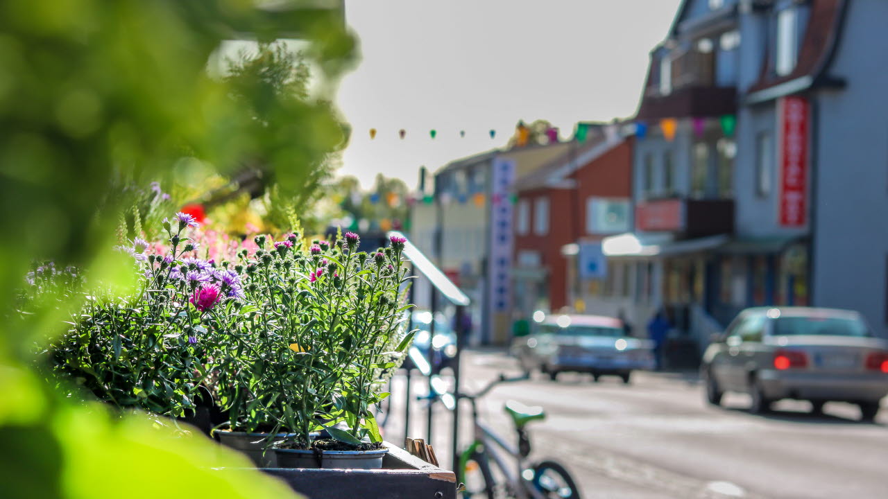Blommor och bilar på storgatan i Årjäng