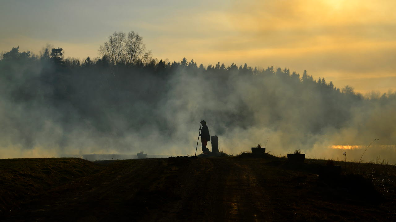 Kontrollerad gräsbränning i solnedgång