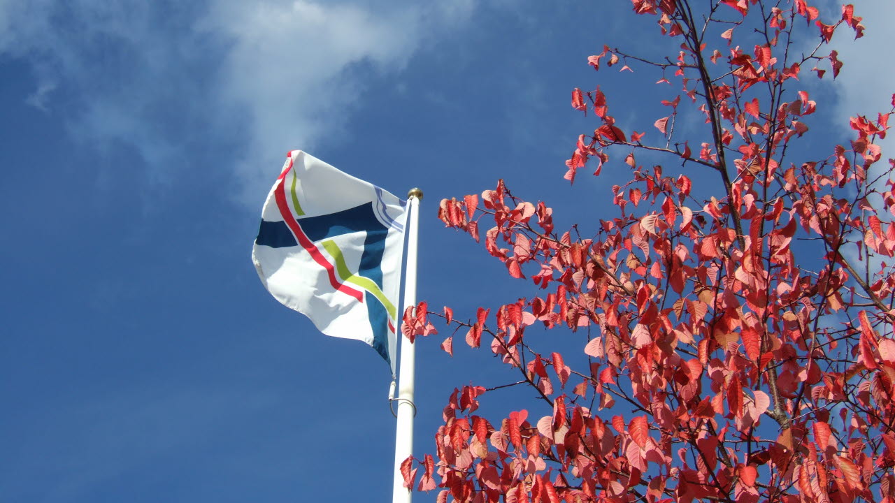 Årjängs kommuns flagga som vajar på en höstdag
