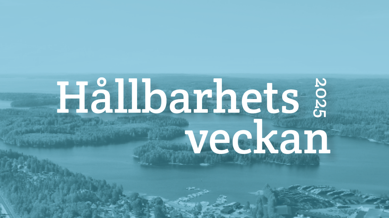 En bild på Anneli Glamsare, författare till Läsa Äger