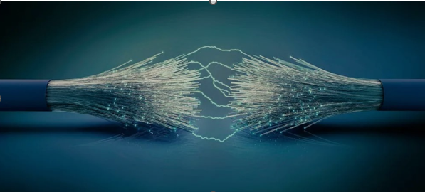 Fiber