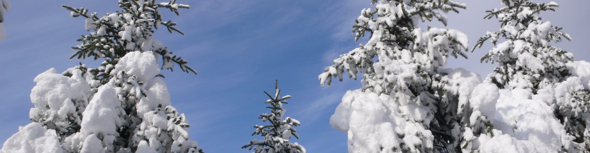 Telefonsladdar med kontakter