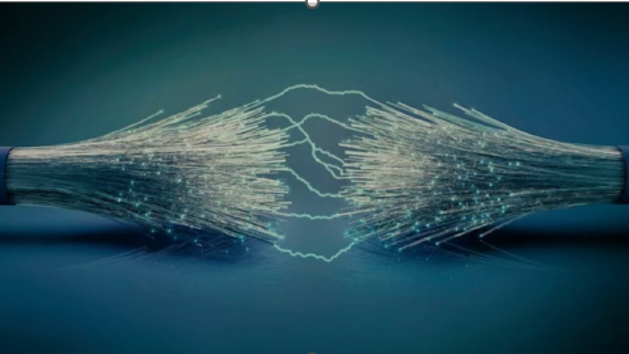 Fiber