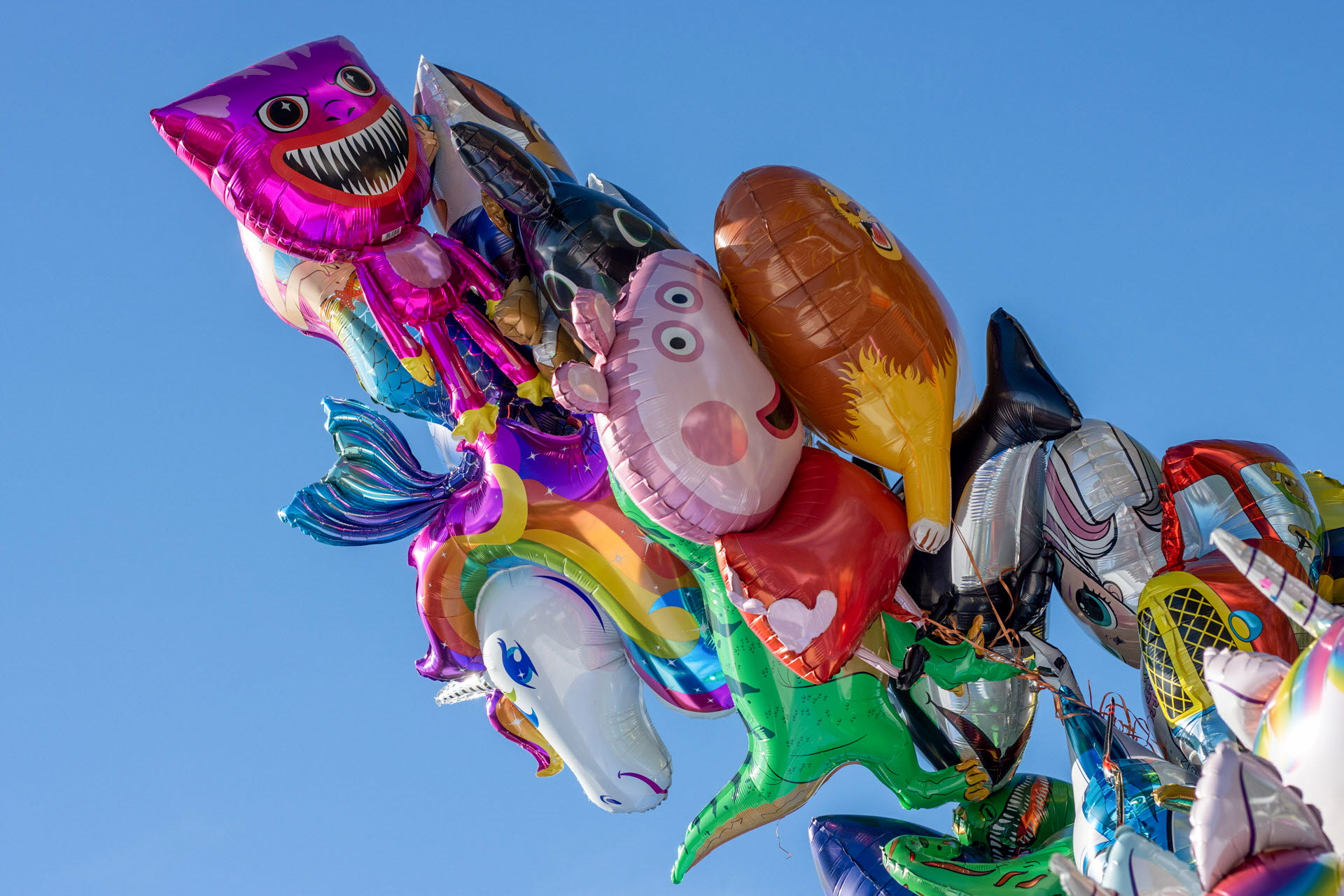Ballonger på snöre upp mot himlen