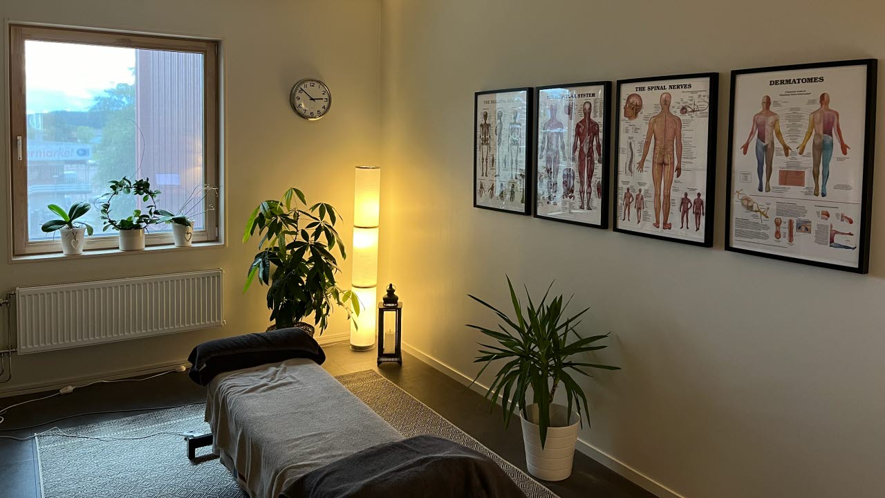 Vy över massage/behandlingsrum
