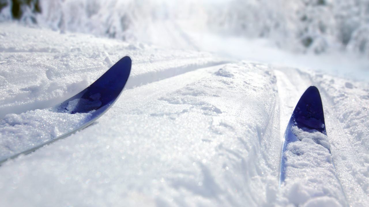 Skidor i snön, i ett skidspår.