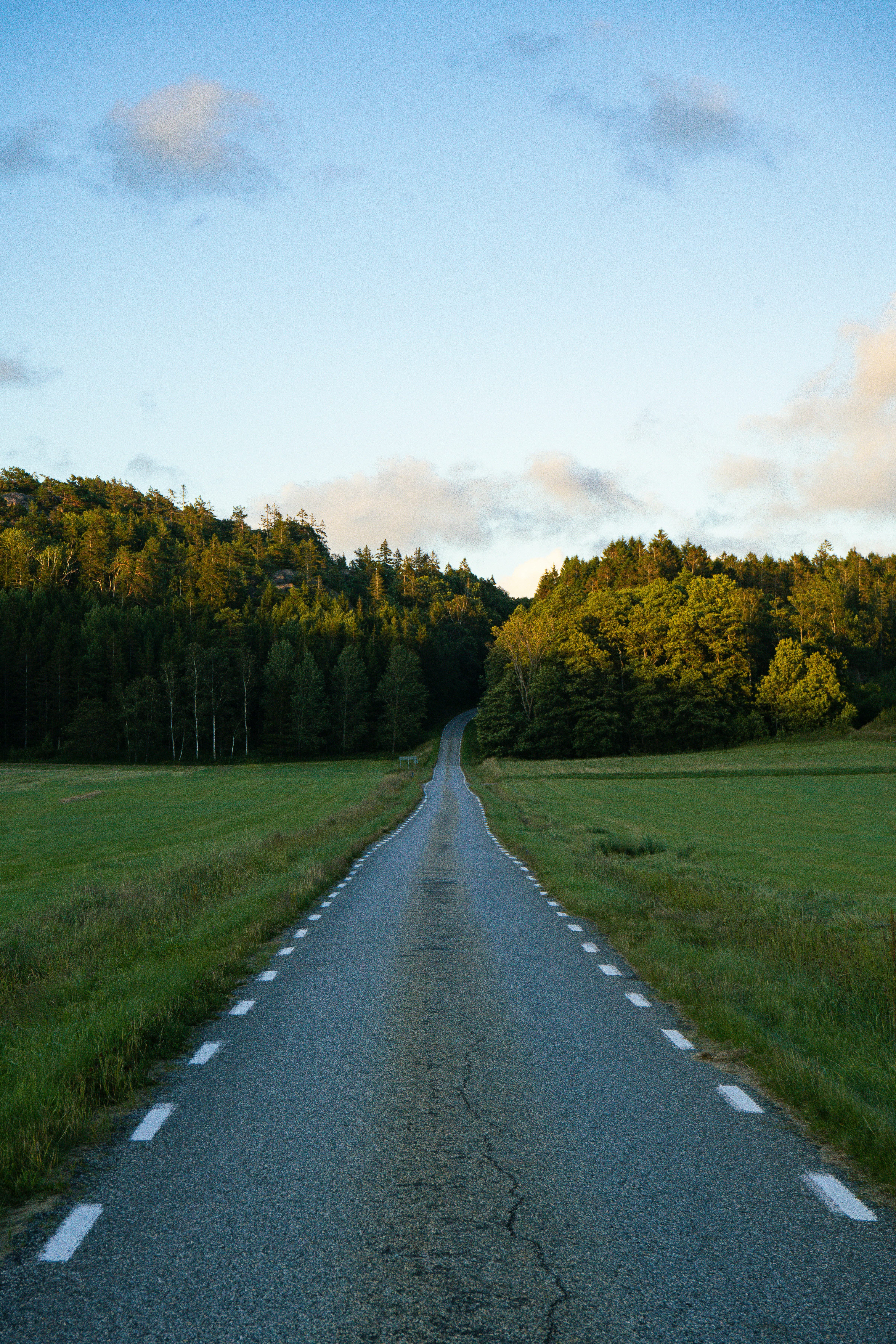 Mindre asfalterad väg i sommarlandskap