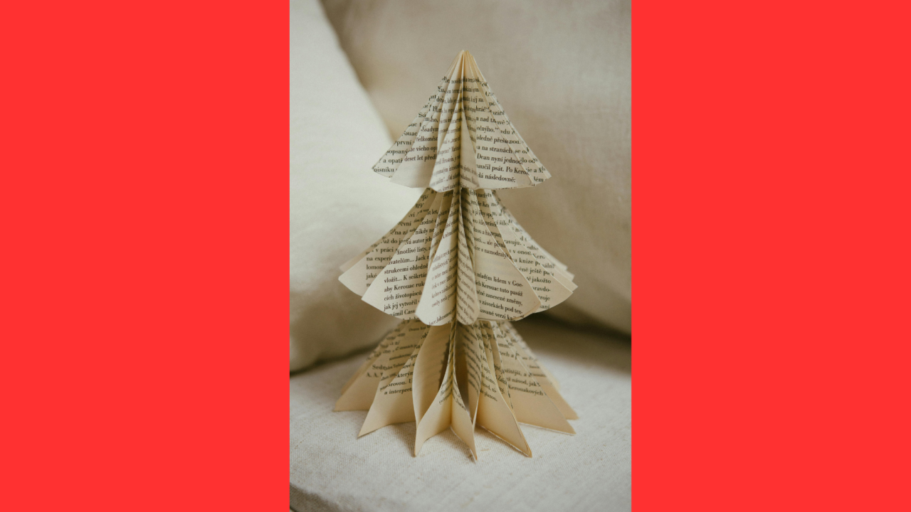 {"X":0.235,"Y":0.0,"Width":0.52,"Height":0.99521531100478466}