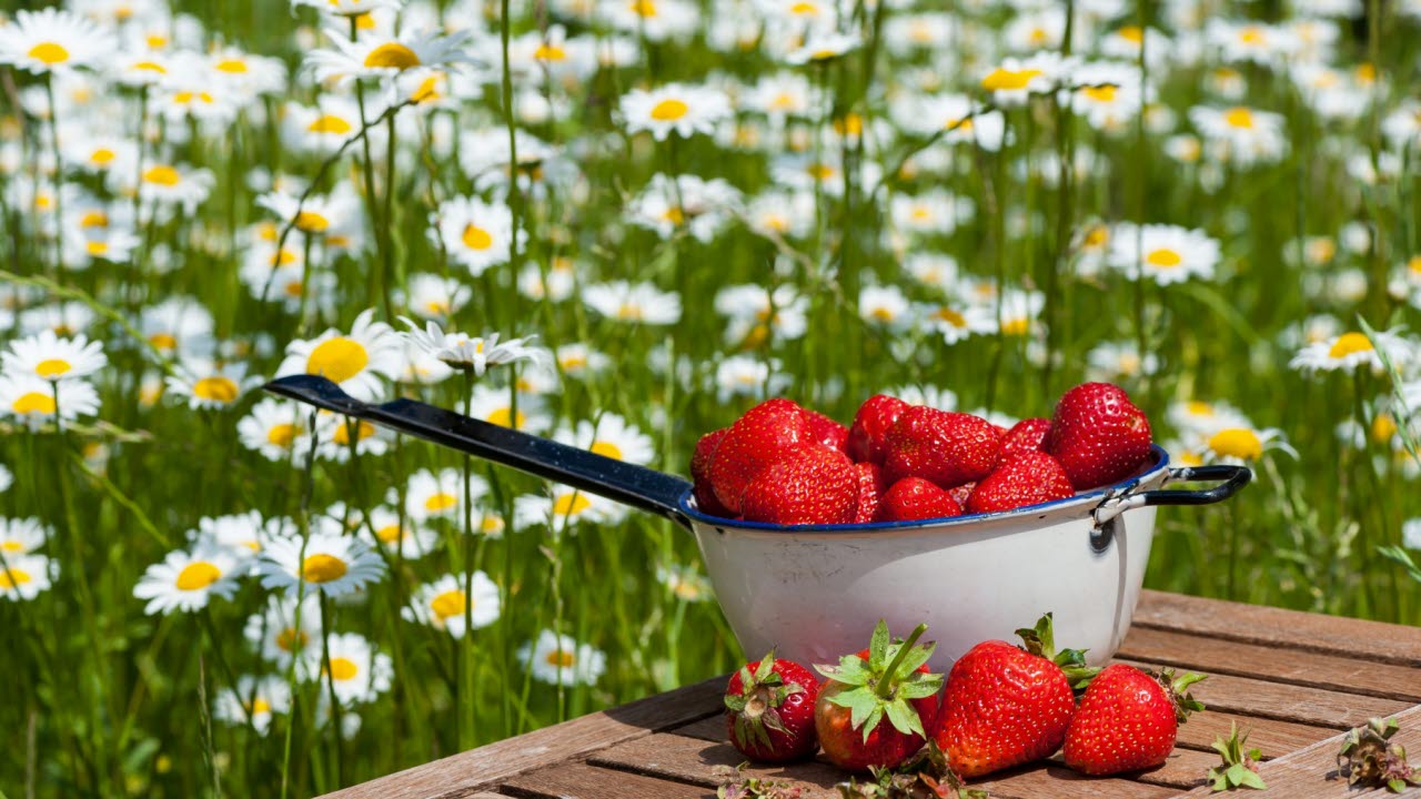 Färska jordgubbar i en skål med blommor i bakgrunden